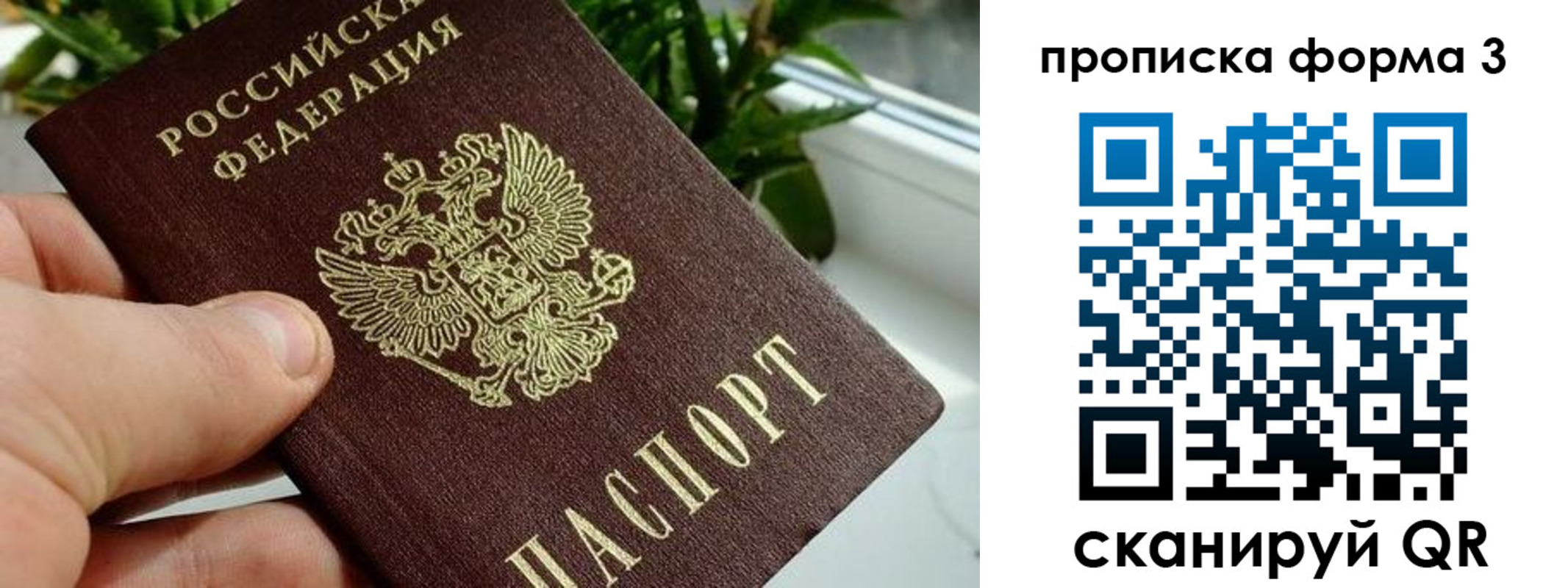 прописка паспорт в Муроме